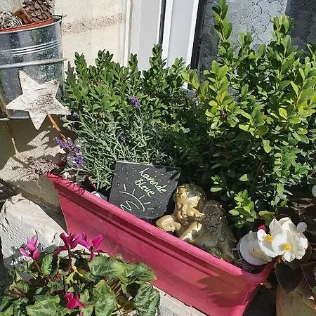 Chez Teresa - A Taste D'angleterre